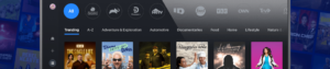 Discovery+: The Niche Content Specialist